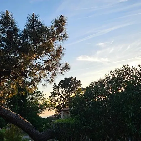 Apartmán T2 Alba Rossa N 124, Chaleureux Vue Et Piscine *