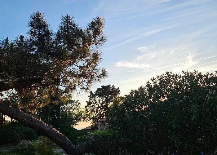 Apartamento T2 Alba Rossa N 124, Chaleureux Vue Et Piscine *